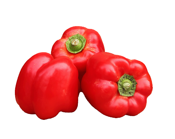 Produktfoto zu Paprika rot