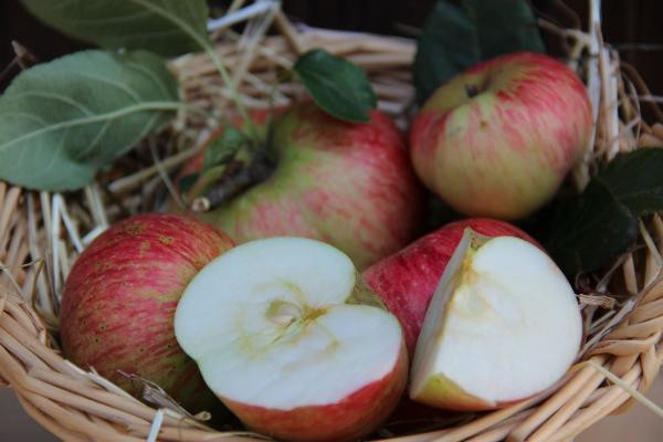 Produktfoto zu Apfel eig. LW