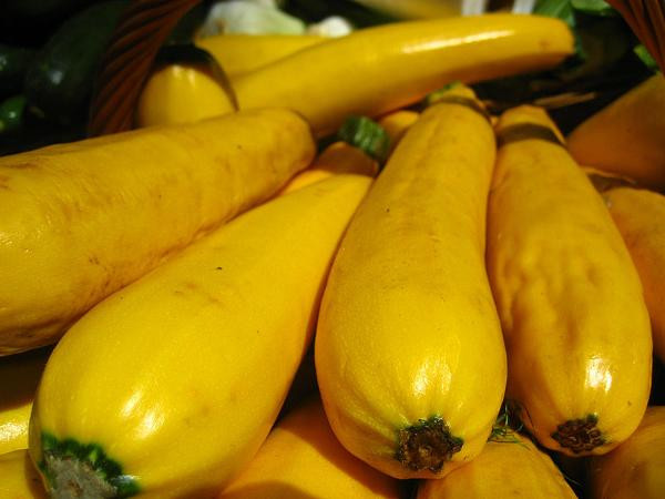 Produktfoto zu Zucchini gelb