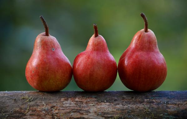 Produktfoto zu Birne Xenia