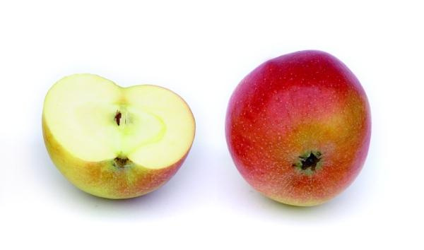 Produktfoto zu Apfel Braeburn