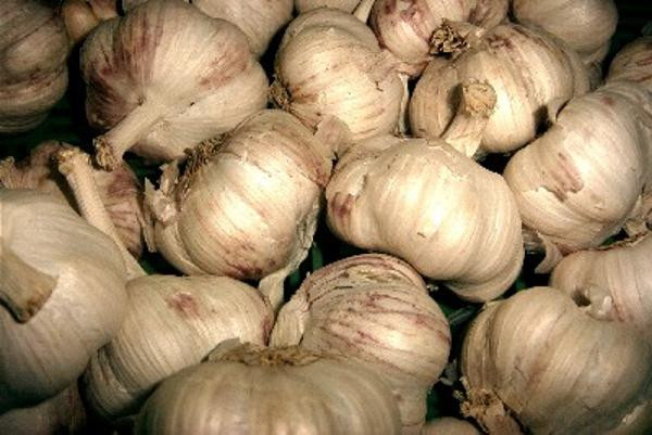 Produktfoto zu Knoblauch