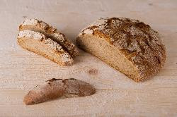 Produktfoto zu Gewürzbrot 600g